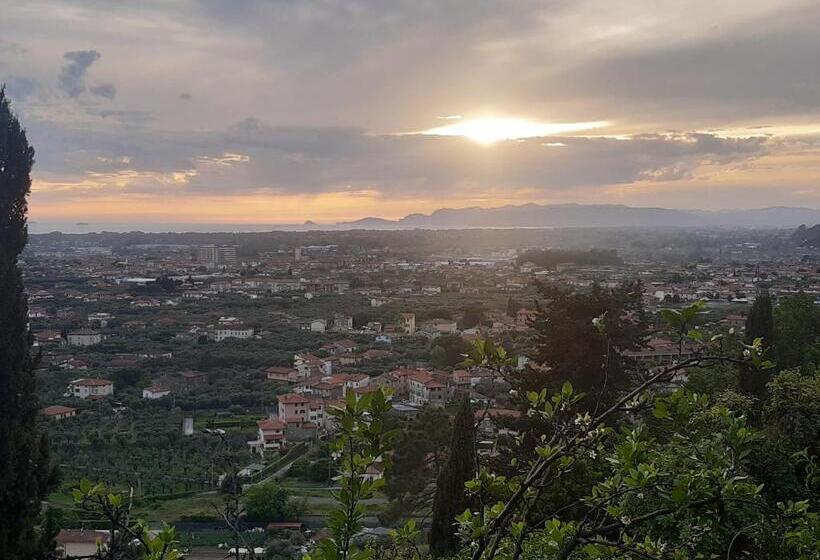 پانسیون Belvedere 10