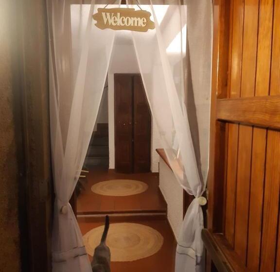 پانسیون Belvedere 10