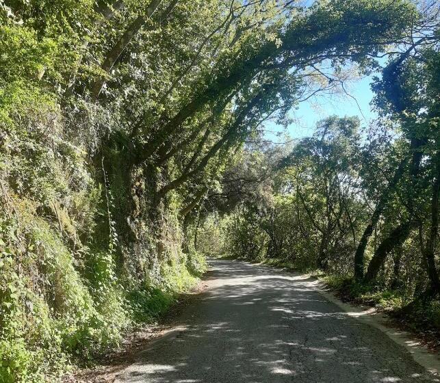 پانسیون Belvedere 10