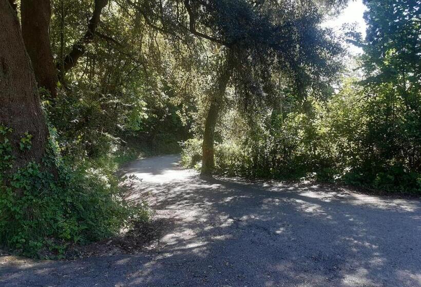 پانسیون Belvedere 10