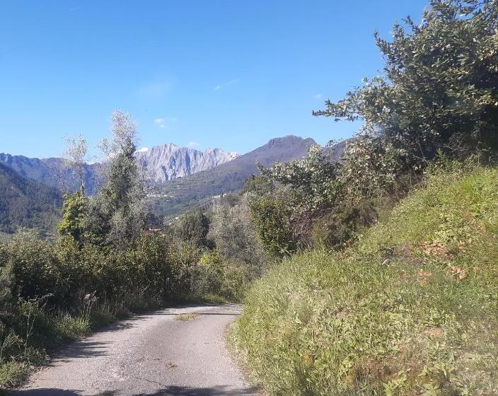 پانسیون Belvedere 10