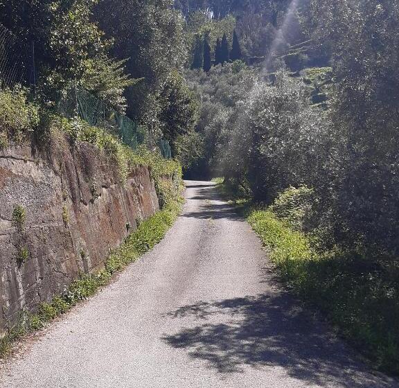 پانسیون Belvedere 10