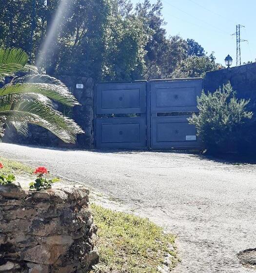 پانسیون Belvedere 10