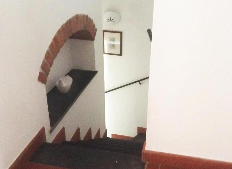 پانسیون Belvedere 10