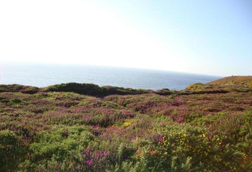 Bed and Breakfast Chambres D Hôtes Frehel