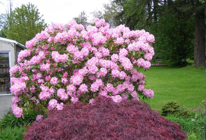 Bed & Breakfast Hummingbird Guesthouse