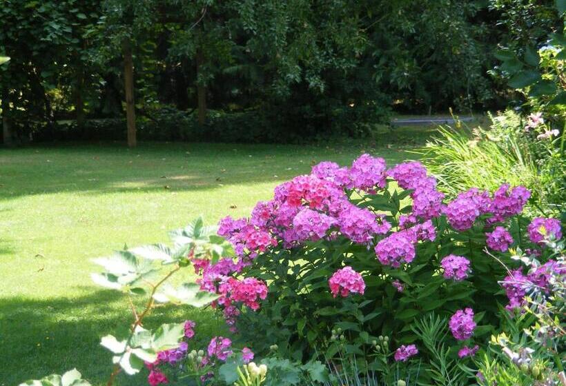 Bed & Breakfast Hummingbird Guesthouse