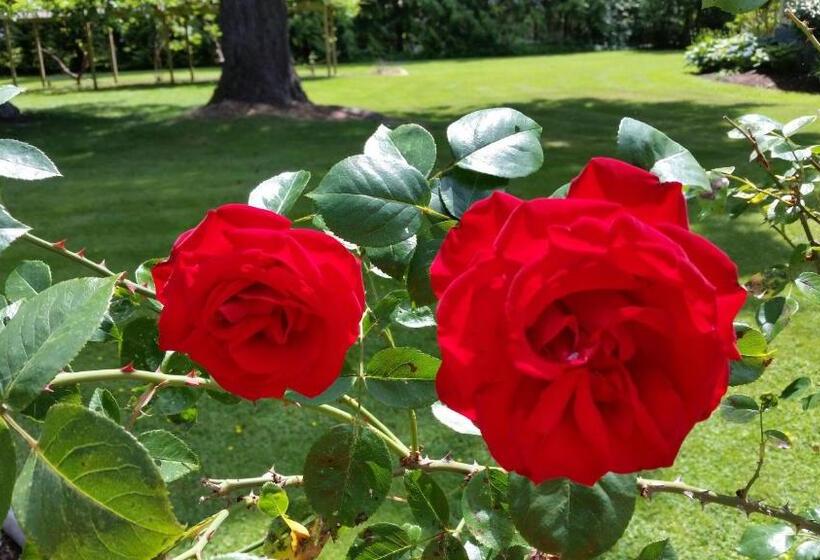 Bed & Breakfast Hummingbird Guesthouse