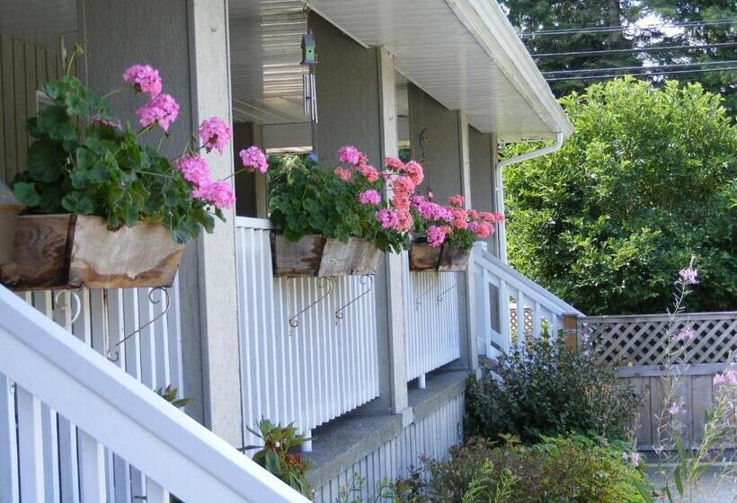 Bed & Breakfast Hummingbird Guesthouse