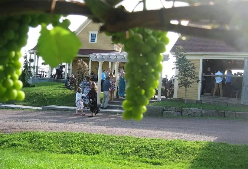 تختخواب و صبحانه Magnetic Hill Winery