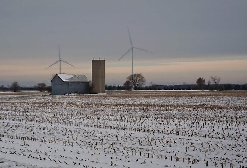 Colborne Bed And Breakfast