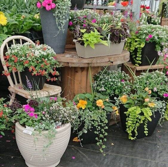 Colborne Bed And Breakfast