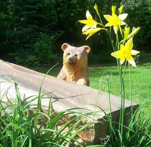 Dwight Village Motel