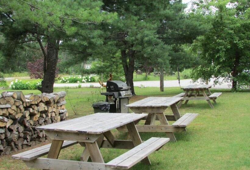 Dwight Village Motel