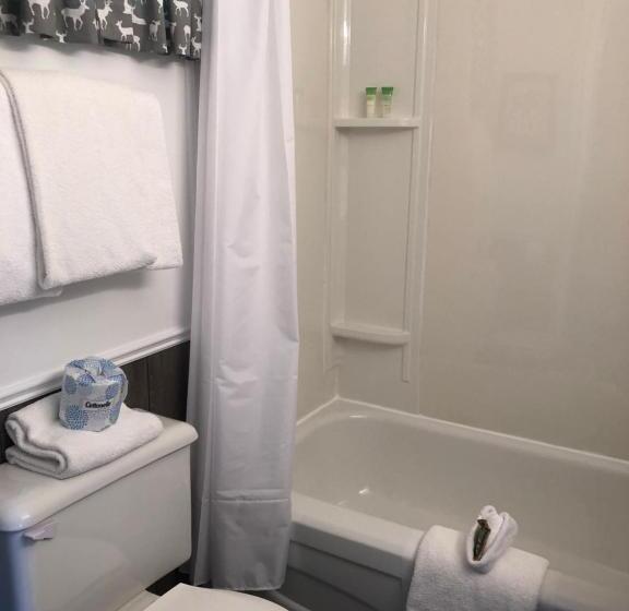 Dwight Village Motel