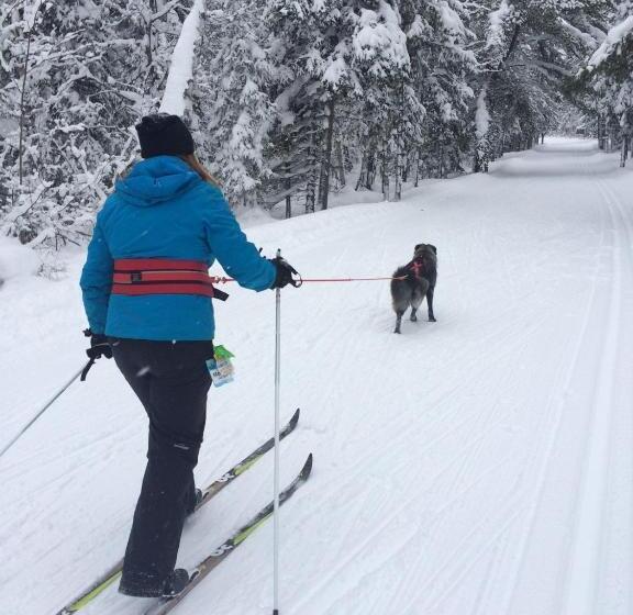 Dwight Village Motel