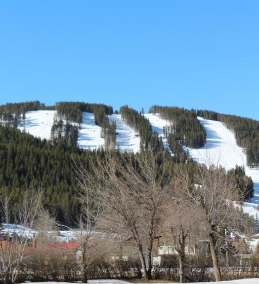 호텔 The Cosmopolitan