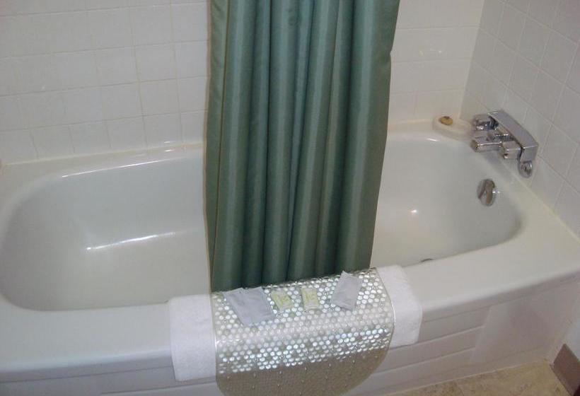 호텔 The Cosmopolitan