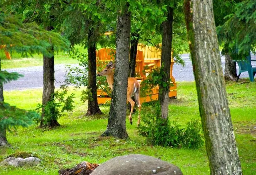 Motel Des Cascades