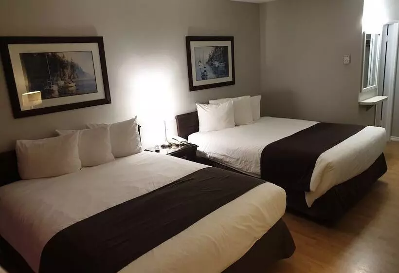 モーテル Island View Lodge