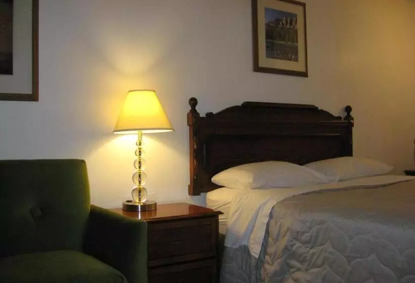 モーテル Royal City Motor Inn