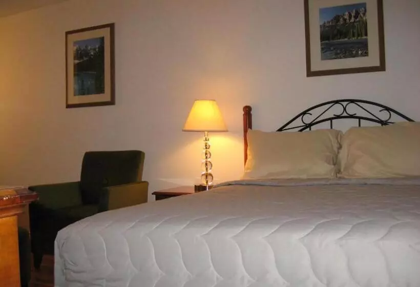 モーテル Royal City Motor Inn