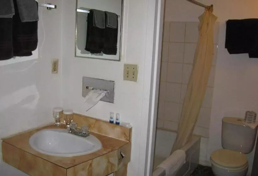 モーテル Royal City Motor Inn