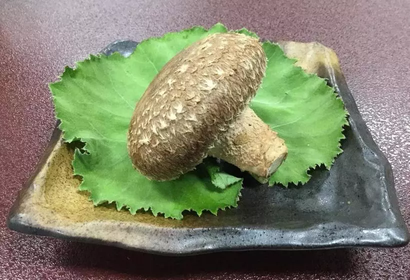 Ryokan Kutsurogian