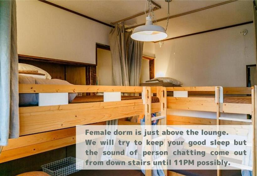 Schronisko 1166 Backpackers