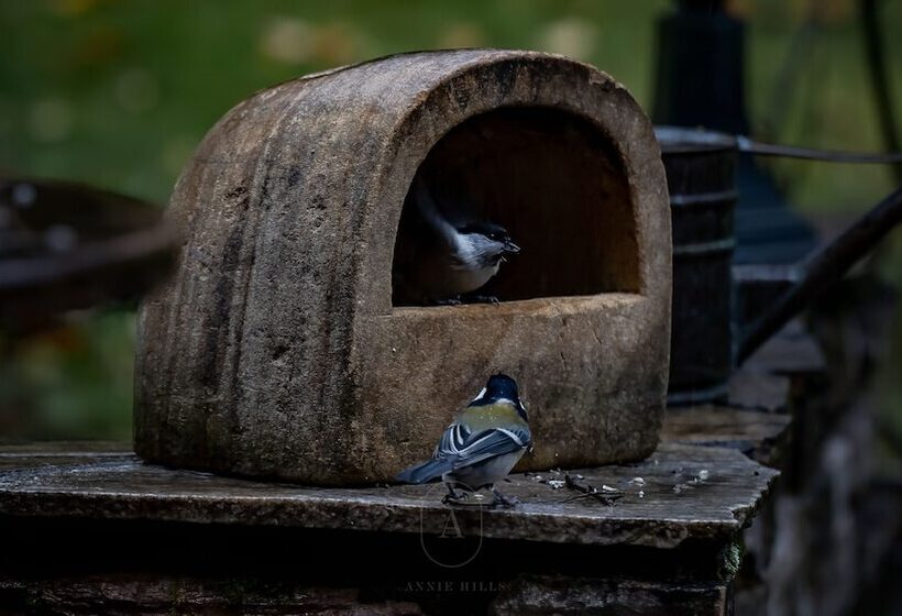 Bed and Breakfast Annie Hills