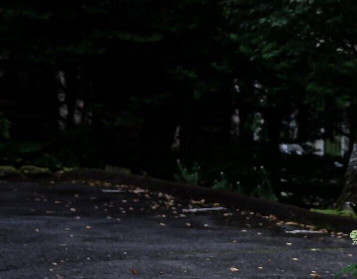 Bed and Breakfast Annie Hills