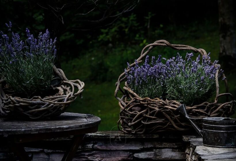 Bed and Breakfast Annie Hills