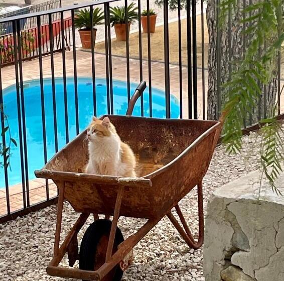 ベッドアンドブレックファースト Finca El Otero