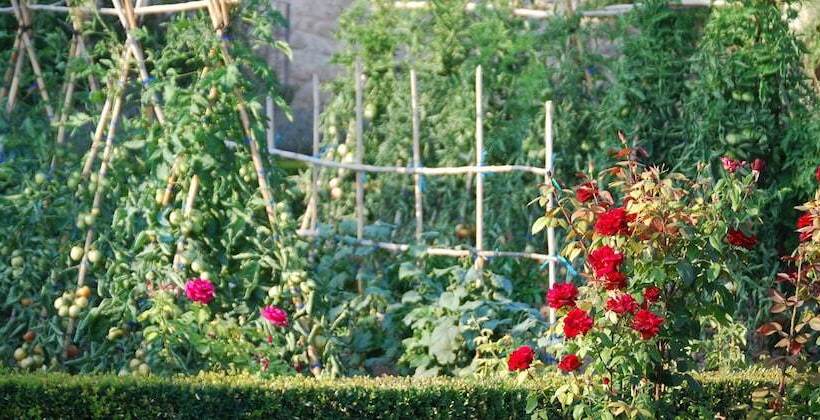 فندق Hort De Fortunyo