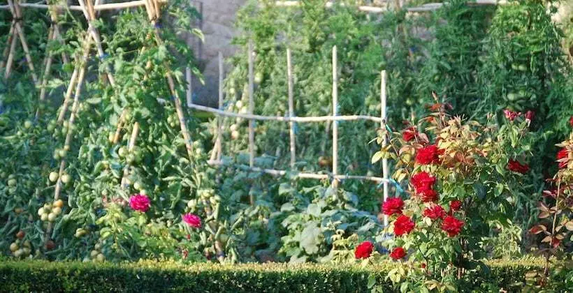 Hotelli Hort De Fortunyo