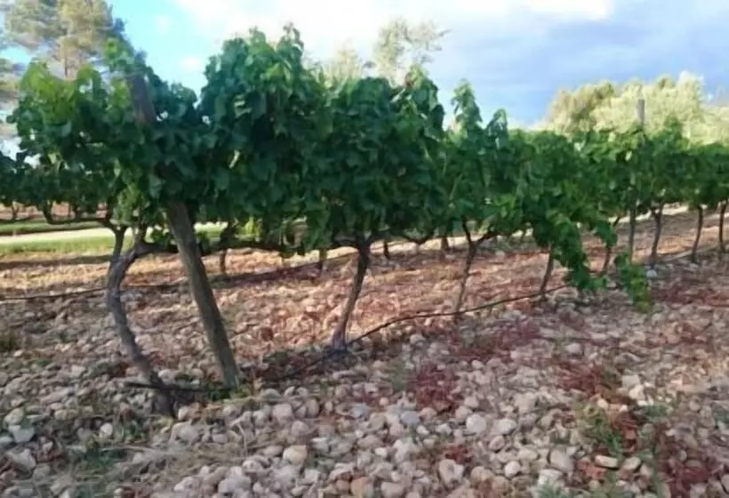 Hotelli Hort De Fortunyo