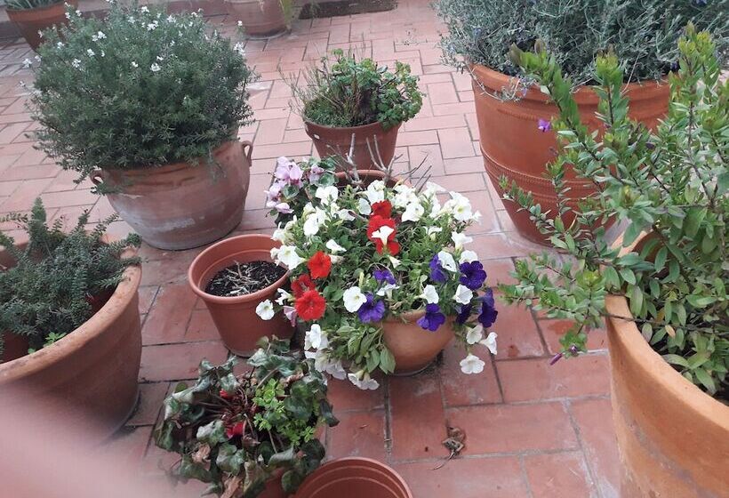 Отель La Pepa Maca