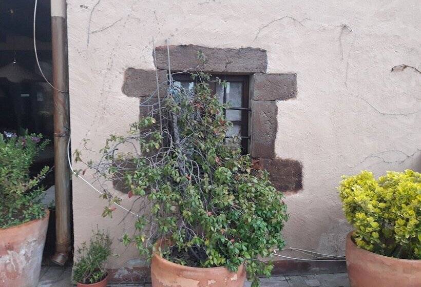 Отель La Pepa Maca