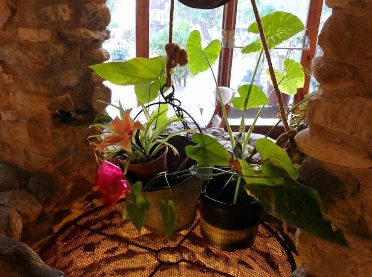 Отель La Pepa Maca