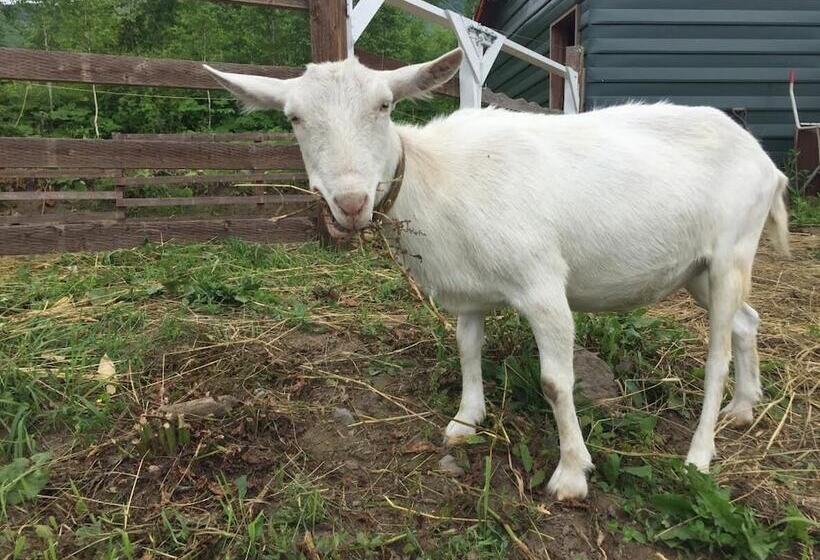 فندق Lodge Romulus