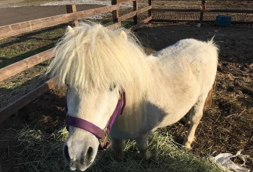 فندق Lodge Romulus