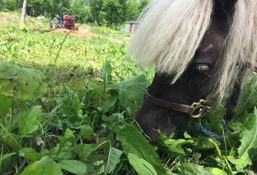 فندق Lodge Romulus