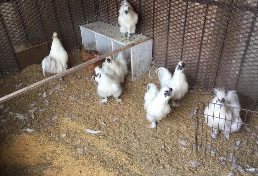 فندق Lodge Romulus