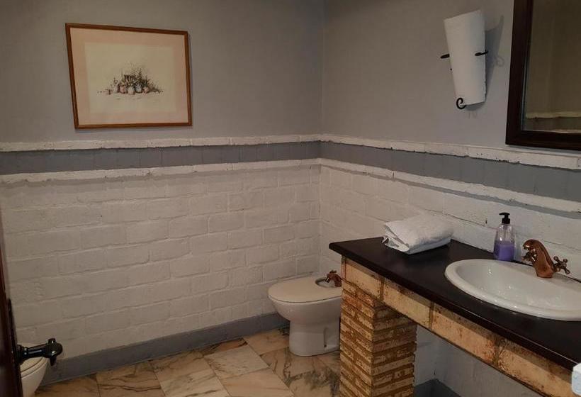 Отель Rey Sancho Iv