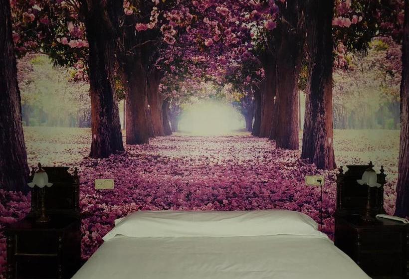 Отель Rey Sancho Iv