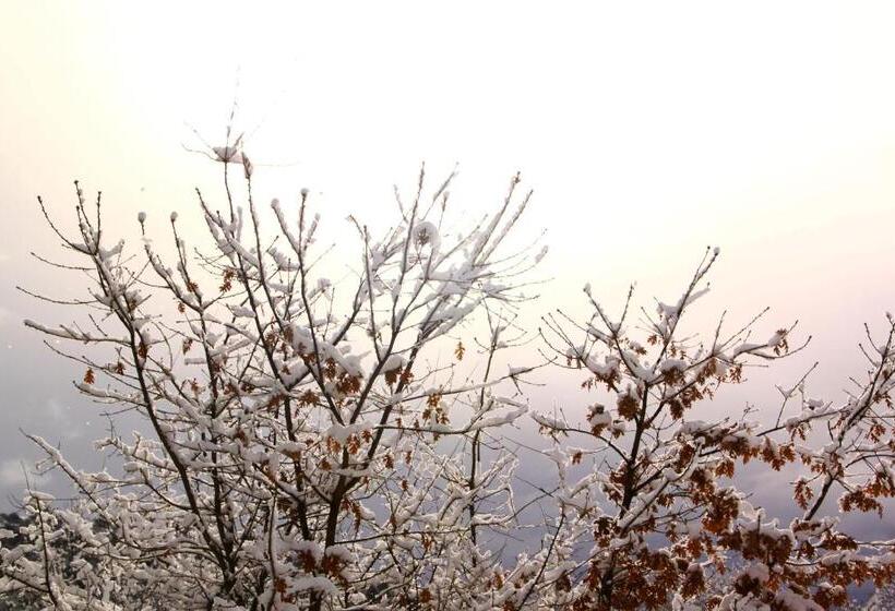 호텔 Rural Las Rozuelas