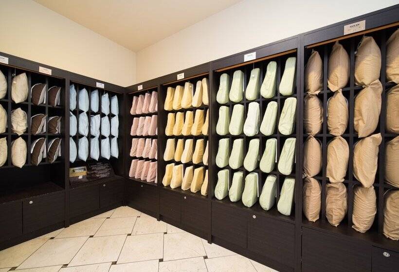 Super Hotel Premier Jr Nara Eki