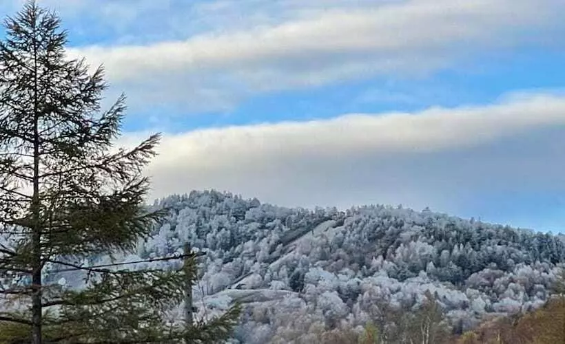 ریوکان Sachinoyu Hotel Shiga Kogen