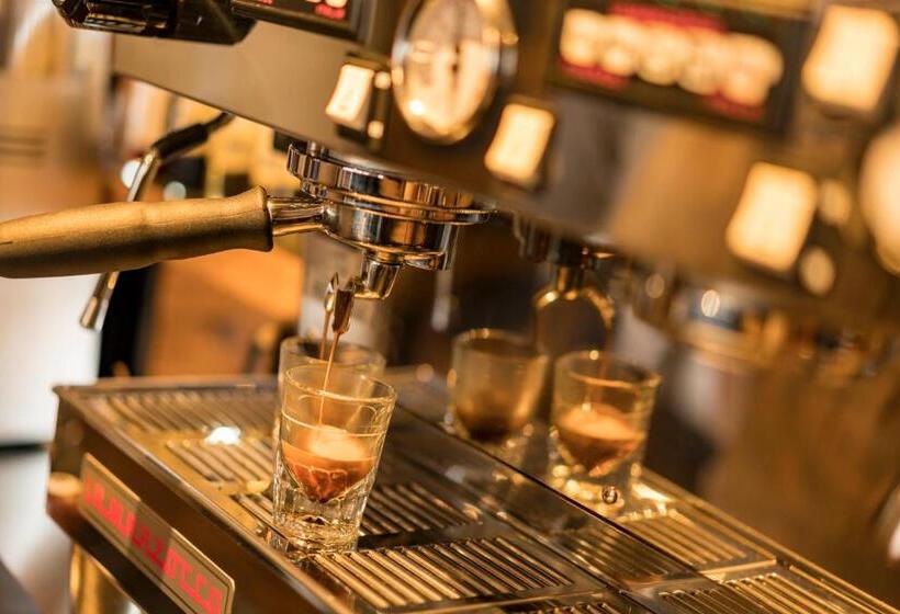 ריוקאן Shirakaba