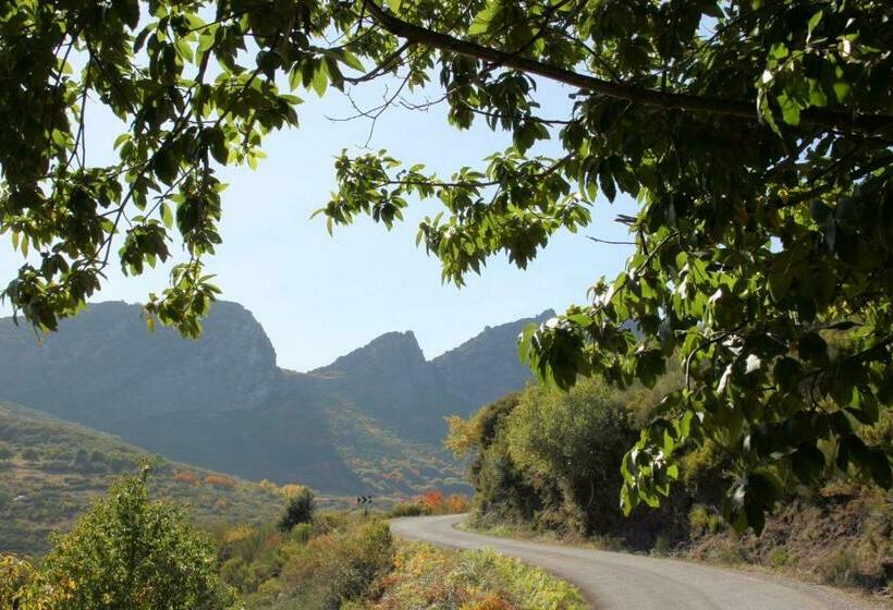 هاستل Camino Y Leyenda